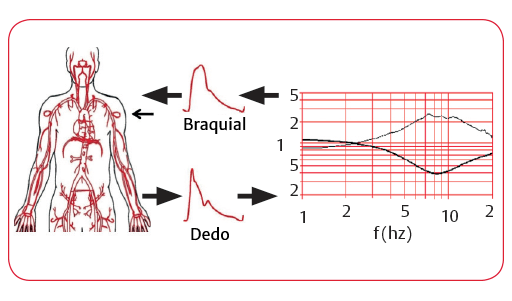 Reconstru&ccedil;&atilde;o da press&atilde;o braquial 